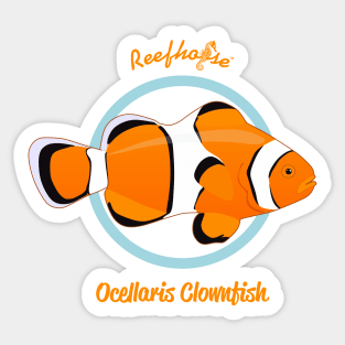 Ocellaris Clownfish Sticker